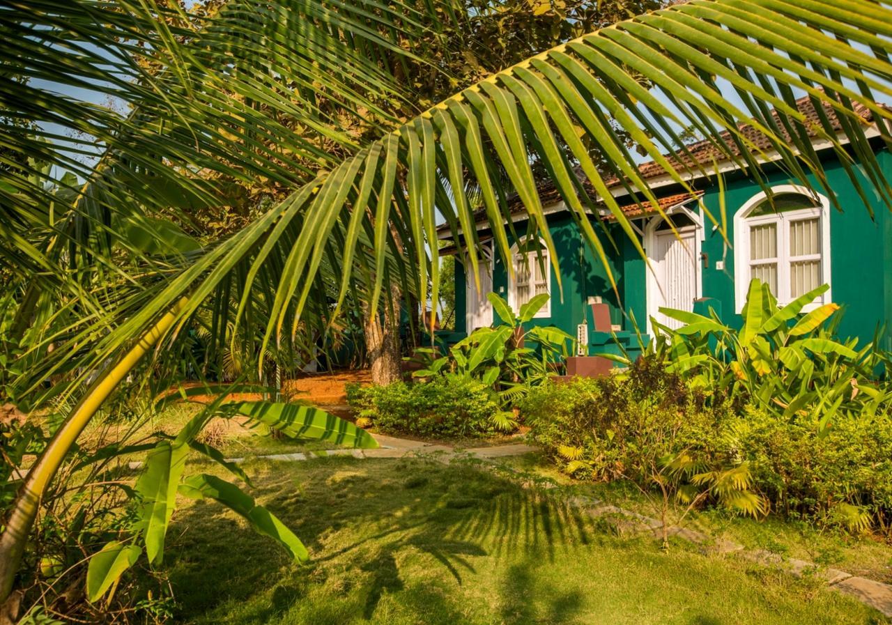 Aquatica Resorts & Spa Morjim Bagian luar foto